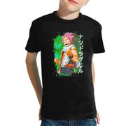 the Fan Tee Camiseta Infantil de Niño Niña Dibujos Animados Fairy Mago Cazador De Dragones, Aventurero, Anime, Accion, Manga 002 6 años