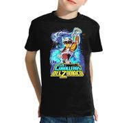 the Fan Tee Camiseta Infantil de Niño Niña Dibujos Animados Zodiaco Caballeros de Atenea 164 8 años