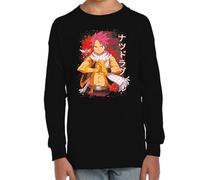 the Fan Tee Camiseta Infantil Manga Larga de Niño Niña Dibujos Animados Fairy Mago Cazador De Dragones, Aventurero, Anime, Accion, Manga 003 12 años