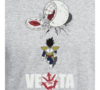 the Fan Tee Sudadera Adulto con Capucha de Hombre Dibujos Animados Dragon Bola Ball Anime Manga Goku Vegeta 493 XS