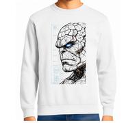 the Fan Tee Sudadera Adulto Sin Capucha de Hombre Comic Fantastico los 4 héroes de la Ciencia y la Aventura 004 L