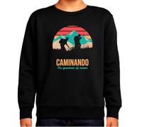 the Fan Tee Sudadera Infantil Sin Capucha de Niño Niña Deportes Montañismo Senderismo Naturaleza Escalada Alpinismo Camping Pico Alpino 001 7 años
