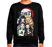 the Fan Tee Sudadera Infantil Sin Capucha de Niño Niña Dibujos Animados Demon Cazadores de Demonios, técnicas de respiración, Silencio del Agua, Danza del Dios del Fuego 020 13 años