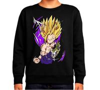 the Fan Tee Sudadera Infantil Sin Capucha de Niño Niña Dibujos Animados Dragon Bola Ball Anime Manga 800 13 años