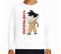 the Fan Tee Sudadera Infantil Sin Capucha de Niño Niña Dibujos Animados Dragon Bola Ball Anime Manga Goku Vegeta 475 15 años