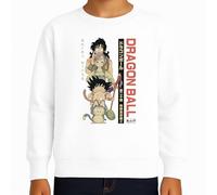 the Fan Tee Sudadera Infantil Sin Capucha de Niño Niña Dibujos Animados Dragon Bola Ball Anime Manga Goku Vegeta 460 15 años