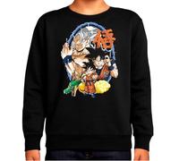 the Fan Tee Sudadera Infantil Sin Capucha de Niño Niña Dibujos Animados Dragon Bola Ball Anime Manga 549 11 años