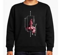 the Fan Tee Sudadera Infantil Sin Capucha de Niño Niña Dibujos Animados Dragon Bola Ball Anime Manga Goku Vegeta 454 15 años