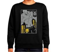 the Fan Tee Sudadera Infantil Sin Capucha de Niño Niña Dibujos Animados Pecados Capitales La Avaricia,Rey de Las Hadas,Gigante El Orgullo, Misterioso y Emocionalmente,Hechicera 003 11 años