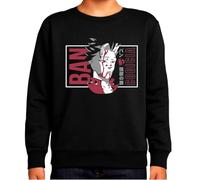 the Fan Tee Sudadera Infantil Sin Capucha de Niño Niña Dibujos Animados Pecados Capitales La Avaricia,Rey de Las Hadas,Gigante El Orgullo, Misterioso y Emocionalmente,Hechicera 001 5 años