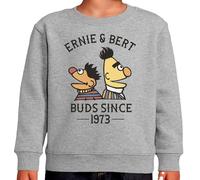 the Fan Tee Sudadera Infantil Sin Capucha de Niño Niña Divertidas Divertidas diversión,Humor y Estilo Ernie & Bert 421 13 años