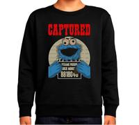 the Fan Tee Sudadera Infantil Sin Capucha de Niño Niña Divertidas Divertidas diversión,Humor y Estilo Barrio Sesamo/Sesame 413 15 años