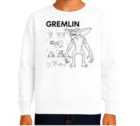 the Fan Tee Sudadera Infantil Sin Capucha de Niño Niña Peliculas Mogwai La Criatura más Adorable del Cine Retro 009 11 años