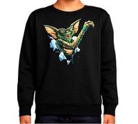 the Fan Tee Sudadera Infantil Sin Capucha de Niño Niña Peliculas Mogwai La Criatura más Adorable del Cine Retro 007 13 años