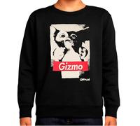 the Fan Tee Sudadera Infantil Sin Capucha de Niño Niña Peliculas Mogwai La Criatura más Adorable del Cine Retro 021 11 años