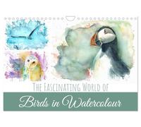 The Fascinating World of Birds in Watercolour (Wall Calendar 2027 DIN A4 landscape), CALVENDO 12 Month Wall Calendar: Vibrant watercolour bird art