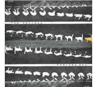 the Felines - A Man Stuck in Your Mind Ep [Vinilo]