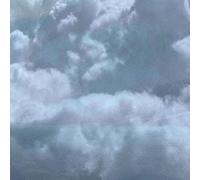 The Fire in Our Throats Will B