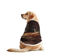 The fire Pit in The Destroyed Library - Camiseta para perro, chaleco transpirable y refrescante para perros grandes, protección solar, uso cómodo para Golden Retriever, Husky, Alaska, actividades al