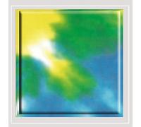 The First American Album