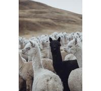 The First, The Few and The Only