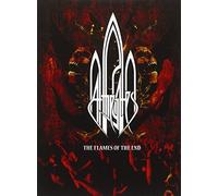 The Flames Of The End [DVD] [2012]
