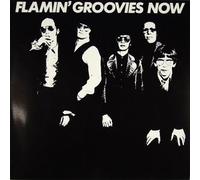 The Flamin' Groovies - Now