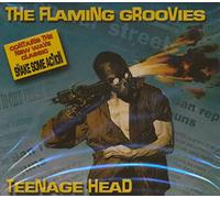 The Flamin' Groovies - Teenage Heads
