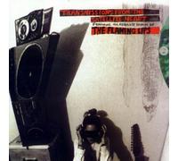 The Flaming Lips – Transmissions From The Satellite Heart – Vinilo – Importación USA – Warner Bros.