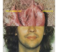 The Flaming Lips – Brainville – Vinilo (Importación USA)