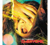 The Flaming Lips - Embryonic (Standard)