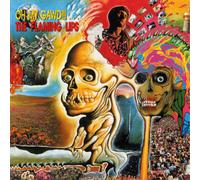 The Flaming Lips Oh My Gawd (Vinyl) 12" Album (Importación USA)