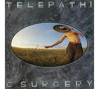 The Flaming Lips – Telepathic Surgery – Vinilo 12" – Rhino