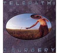 The Flaming Lips – Telepathic Surgery – Vinilo 12" – Rhino