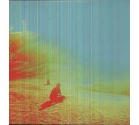 The Flaming Lips The Terror (Vinyl) (Importación USA)