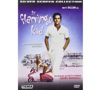 The Flamingo Kid [DVD]