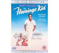 The Flamingo Kid [Reino Unido] [DVD]