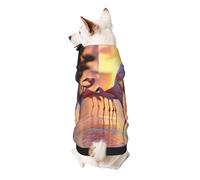 The Flamingo Under the Setting Sun - Sudadera con capucha para perro, poliéster suave y transpirable, ropa para mascotas para perros pequeños, niños y niñas