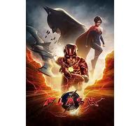 The flash [Francia] [DVD]