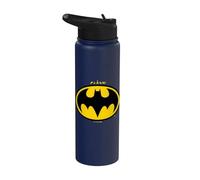 The Flash Movie Batman Flat Logo Stainless Steel Insulated Water Bottle