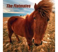 The Flatmates The Flatmates (Vinyl) 12" Album