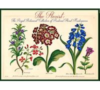 The Florist: The Royal Botanical Collection of Restored Floral Masterpieces