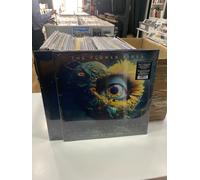 The Flower Kings - Look At you Now [Vinilo]