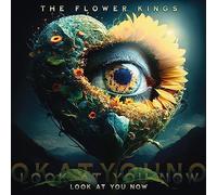 The Flower Kings - Look At you Now [Vinilo]