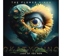 The Flower Kings Look at You Now (Vinyl) 12" Album