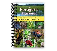 The Forager's Harvest: A Guide to Identifying, Harvesting, and Preparing Edible Wild Plants