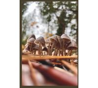 The Forest Floor Journal