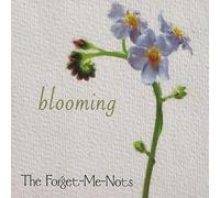The Forget-Me-Nots - Blooming