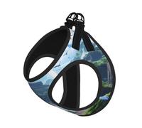 The Forgotten Kingdom - Arnés para perro, equipado con correas reflectantes y hebillas de liberación rápida, adecuado para gatos y perros pequeños