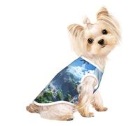 The Forgotten Kingdom - Camisa para perros pequeños, suave y transpirable, para perros, gatos, niños, niñas, mascotas, adecuada para mascotas pequeñas